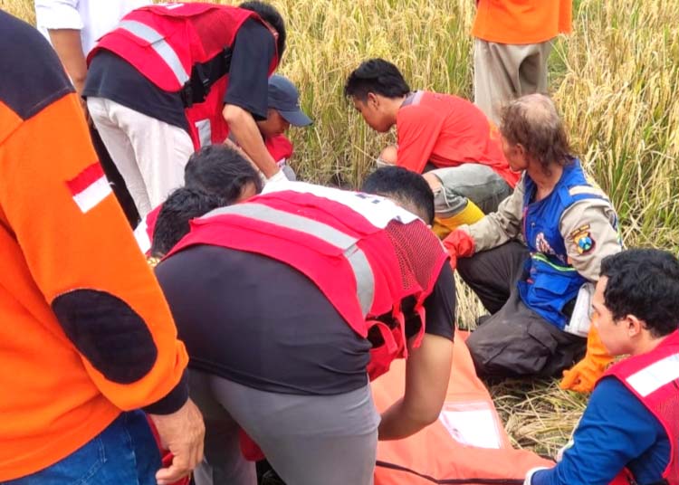 Evakuasi petani yang meninggal di sawah (Blok-a.com/Syahrul)