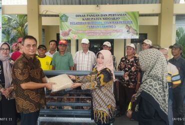 Penyerahan simbolis bantuan Urban Farming Disparpertan kepada Kepala Desa Mindugading, Sri Susilowati.