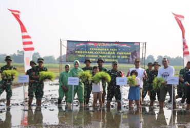 Penanaman padi dan bibit pohon dalam TMMD Sidoarjo, Kamis (9/5/2024).