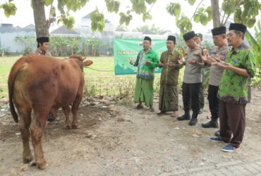 Teks: Kapolres Mojokerto AKBP Ihram Kustarto menyerahkan langsung hewan qurban 1 ekor sapi kepada PCNU.(Blok-a.com/Syahrul Wijaya)
