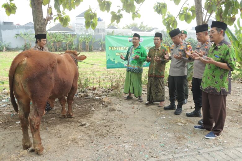 Teks: Kapolres Mojokerto AKBP Ihram Kustarto menyerahkan langsung hewan qurban 1 ekor sapi kepada PCNU.(Blok-a.com/Syahrul Wijaya)