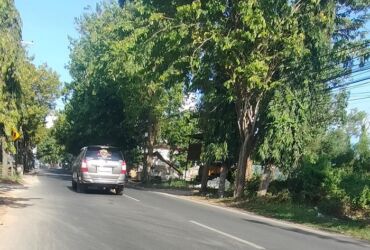 Jalan desa di wilayah Kabupaten Sumenep mulus beraspal.