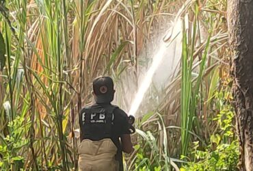 Proses pemadaman lahan tebu yang terbakar di Dusun Merjoyo, Desa Jatipasar, Kecamatan Trowulan, Kabupaten Mojokerto.(Dokumen BPBD)