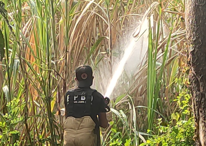 Proses pemadaman lahan tebu yang terbakar di Dusun Merjoyo, Desa Jatipasar, Kecamatan Trowulan, Kabupaten Mojokerto.(Dokumen BPBD)