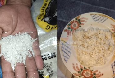 Nasi dari Beras CSR yang diduga tak layak konsumsi berbau apek dan bercampur menir. (blok-a.com/ivan)