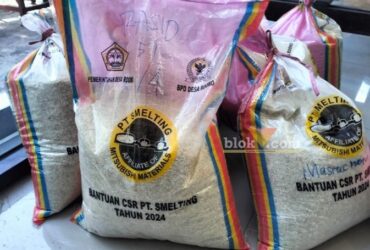 Beras CSR dari PT Smelting yang dibagikan ke warga Desa Roomo tak layak konsumsi.