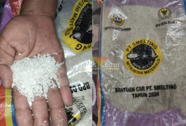 Kondisi beras banyak kutu dan kotor dalam kemasan 10kg bertuliskan Bantuan CSR PT Smelting saat dimasak masih berbau. (blok-a.com/ivan)