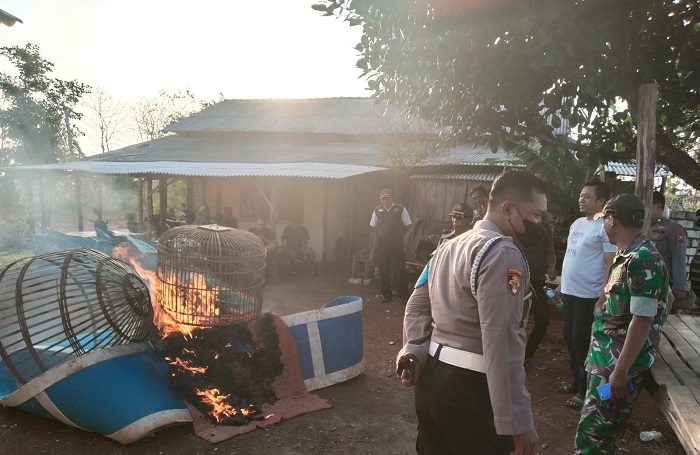 Petugas Kepolisian Gresik kembali melakukan penggerebekan sebuah arena judi sabung ayam. Setelah sebelumnya melakukan penggerebekan lokasi sabung ayam di perbatasan Desa Lasem, Desa Wadeng, dan Desa Kertosono, Kecamatan Sidayu, Gresik pada Sabtu (28/9/2024) lalu.