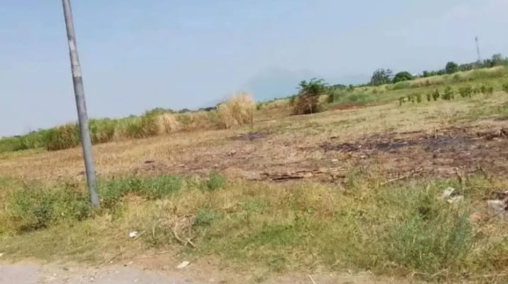 ilustrasi rencana lahan SMK Prambon.