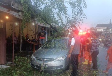 Mobil Honda Civic yang tertimpa pohon kersem di Dusun Sasap, Desa Modongan, Kecamatan Sooko, Kabupaten Mojokerto.(blok-a.com/Syahrul Wijaya)