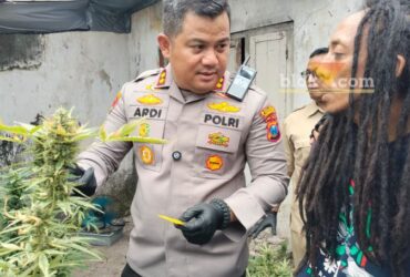Polisi saat menggerebek rumah kontrakan yang jadi ladang ganja di Mojongapit, Jombang.(Blok-a.com/Syahrul Wijaya)