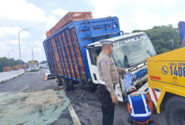 Evakuasi truk muat ayam yang terguling di exit tol Mojokerto.(Dokumen PJR 3 Polda Jatim)