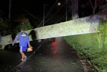 Pohon tumbang tutup jalur Pacet-Cangar.(Foto: Dokumen BPBD Kabupaten Mojokerto)