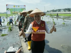 Wali kota Mojokerto Ika Puspita Sari ikut menanam padi di sawah lingkungan Keboan, Kelurahan Gununggedangan (foto: Blok-a.com/Syahrul Wijaya)