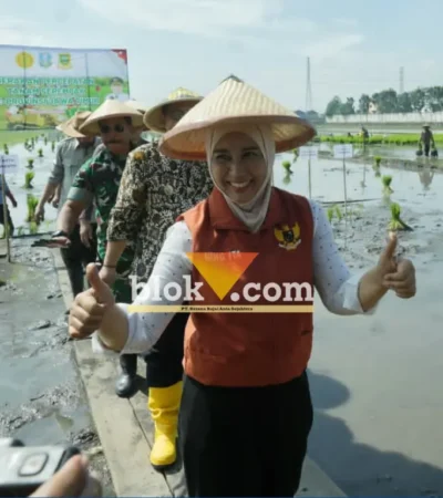 Wali kota Mojokerto Ika Puspita Sari ikut menanam padi di sawah lingkungan Keboan, Kelurahan Gununggedangan (foto: Blok-a.com/Syahrul Wijaya)