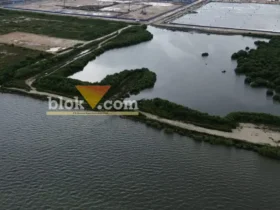 Lokasi dugaan Pelanggaran PKKPRL KEK JIIPE Manyar Gresik Masuk Tahap Supervisi (foto: Blok-a.com/Ivan)