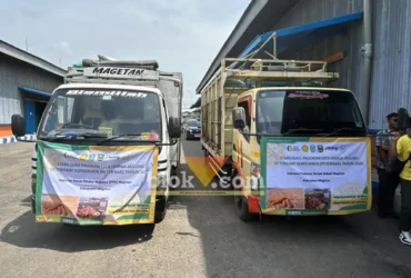 Penyaluran stabilisasi pasokan dan harga jagung untuk peternak wilayah Jawa Timur.(foto: blok-a.com/Syahrul Wijaya)